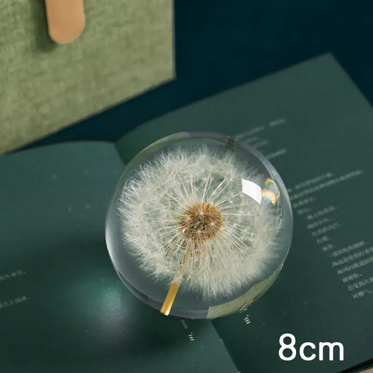 Dandelion Music Box with Crystal Ball - Gift for Her